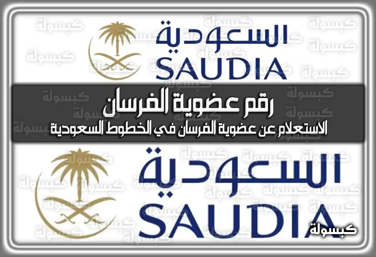 رقم عضوية الفرسان للخطوط السعودية