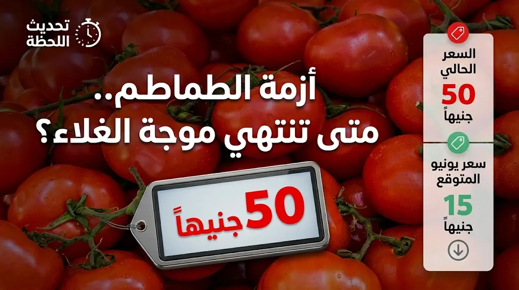 أسعار الطماطم اليوم في مصر السبت 16-5-2026: الكيلو يصل لـ 50 جنيهاً وموعد الانخفاض المتوقع