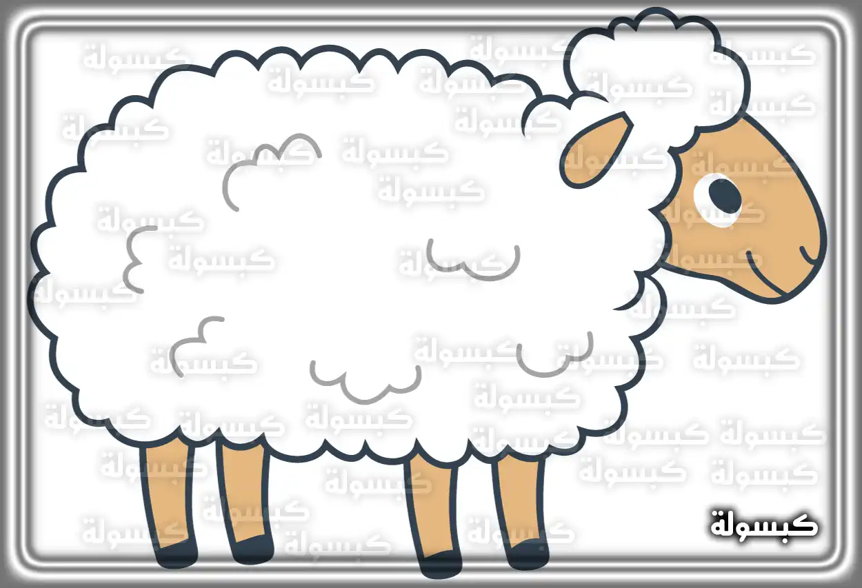 تفسير رؤية حلم الخروف في المنام للعزباء