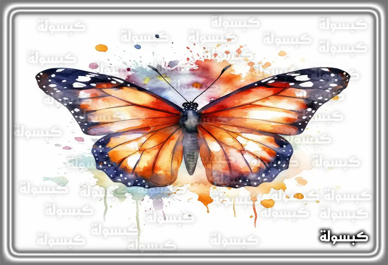 تفسير رؤية حلم الفراشة في المنام