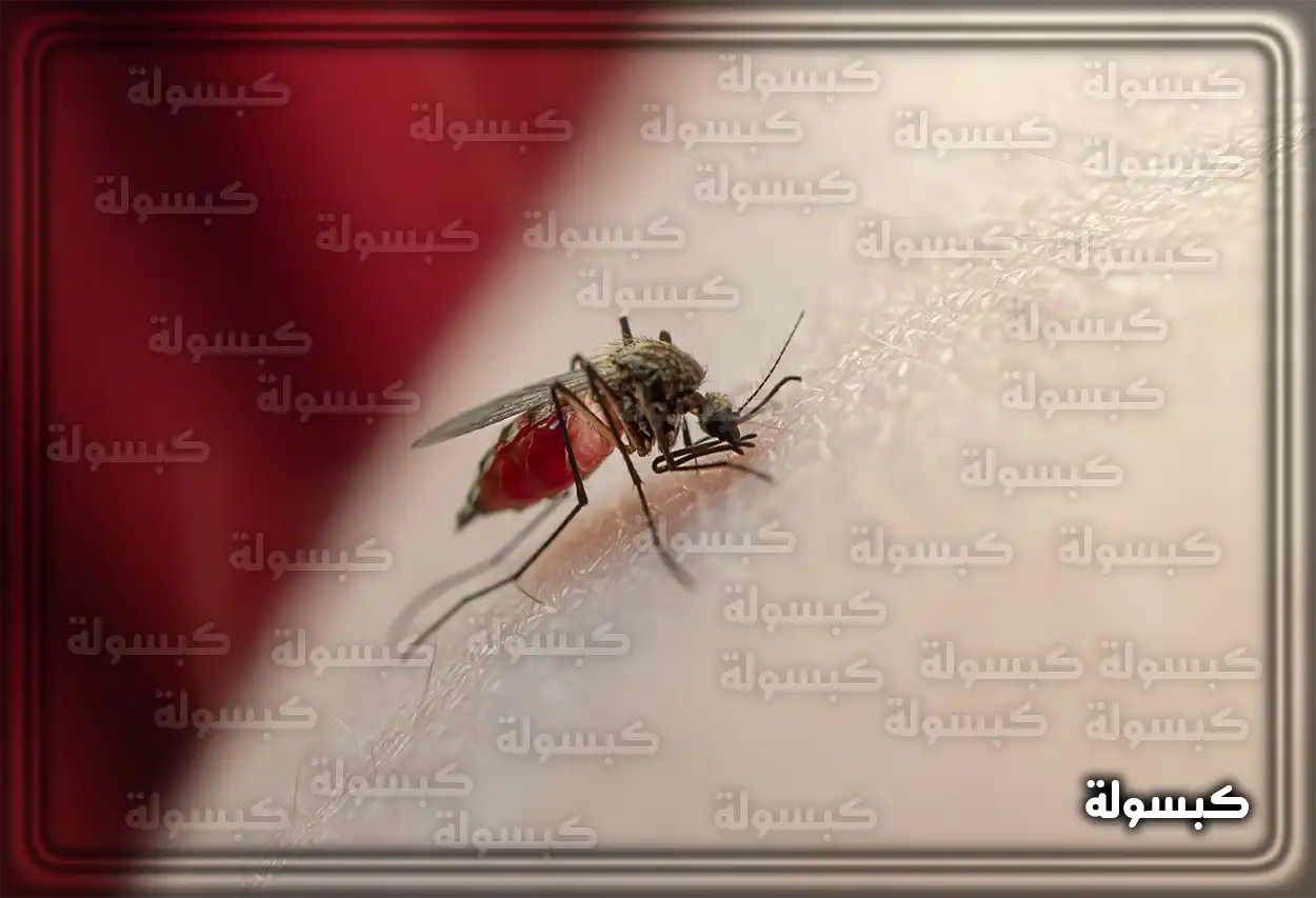 تفسير رؤية حلم البعوض في المنام تفسير رؤية حلم البعوض في المنام