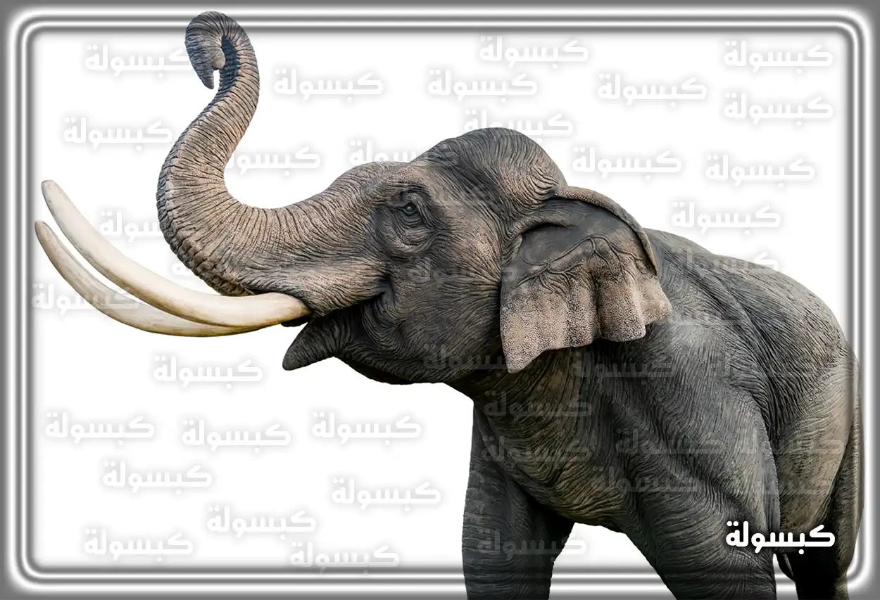 تفسير رؤية حلم الفيل في المنام امرأة تنظر إلى فيل في منظر طبيعي كرمز لرؤية الفيل في المنام