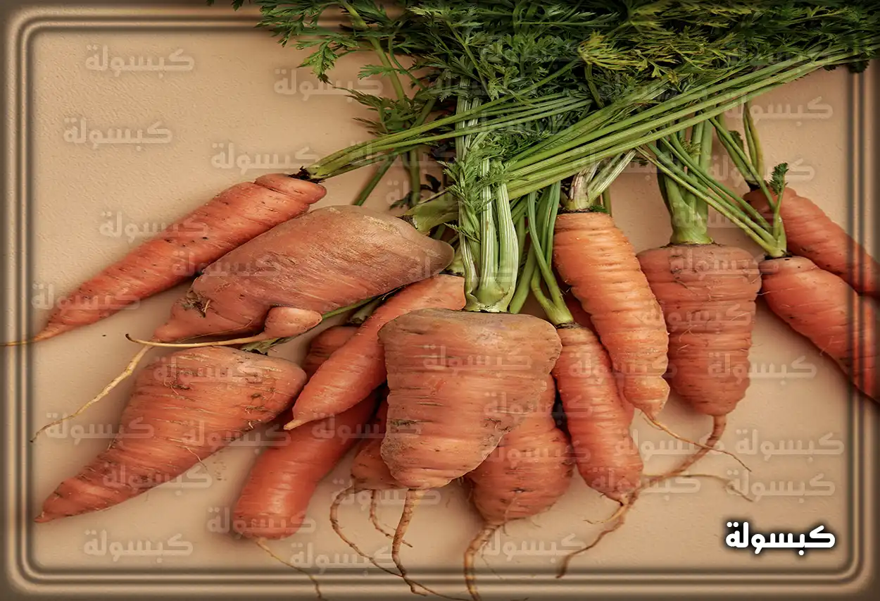 تفسير رؤية حلم الجزر في المنام امرأة تنظر إلى الجزر كرمز للتحديات والطموحات في تفسير الأحلام