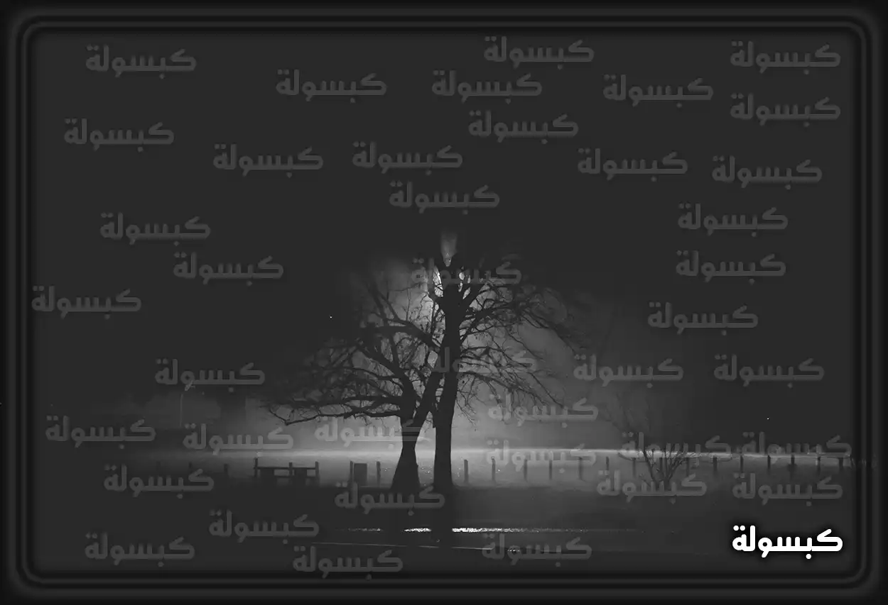 تفسير رؤية حلم الظلام في المنام سيارة تسير في طريق مظلم ليلاً في الحلم