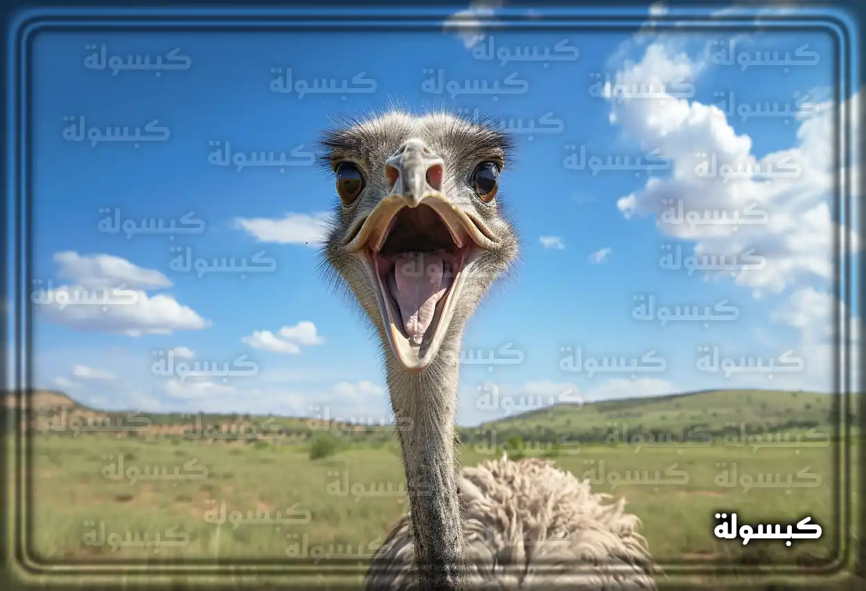 تفسير رؤية حلم النعامة في المنام