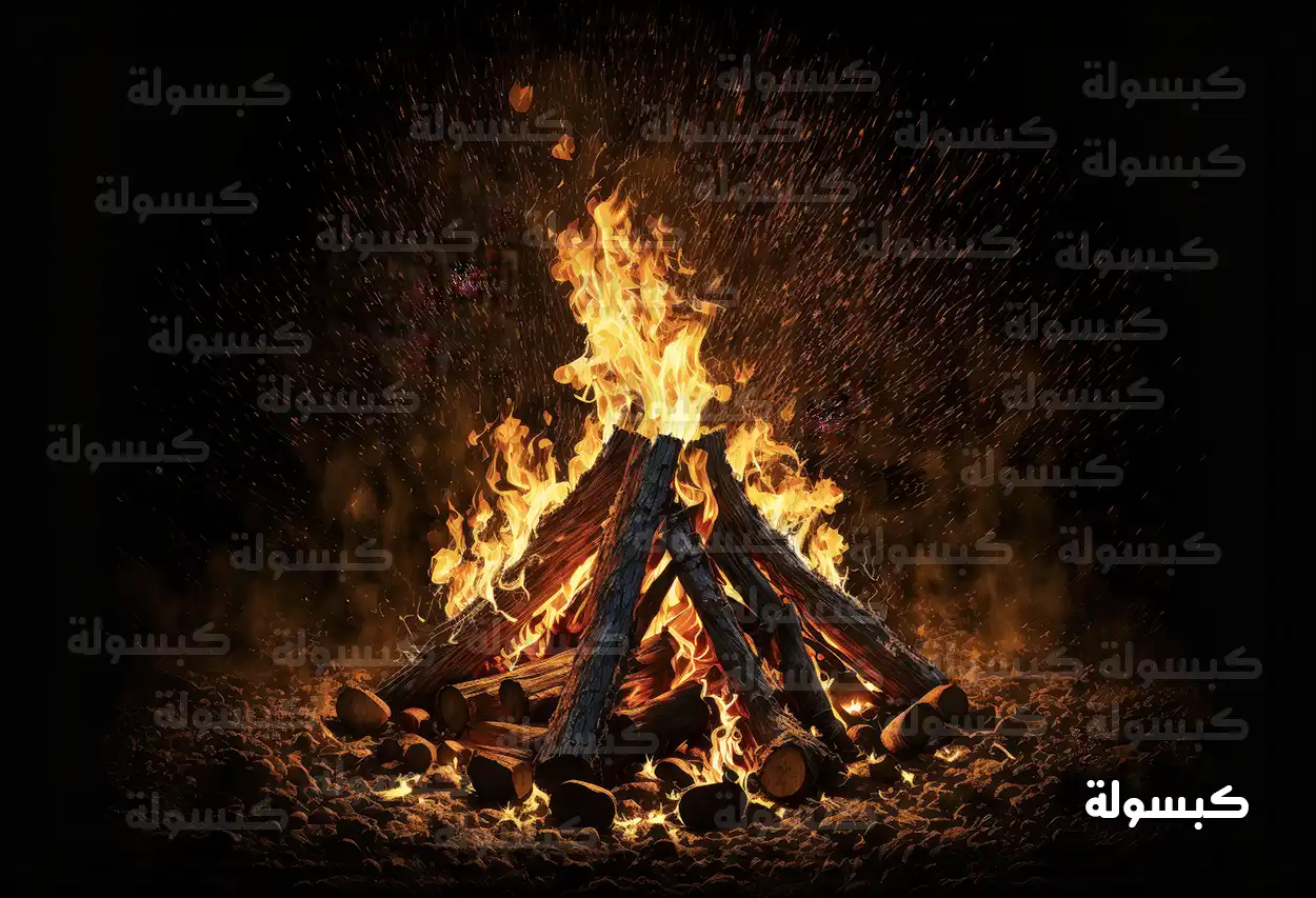 فتاة عزباء تنظر إلى الحطب في الحلم