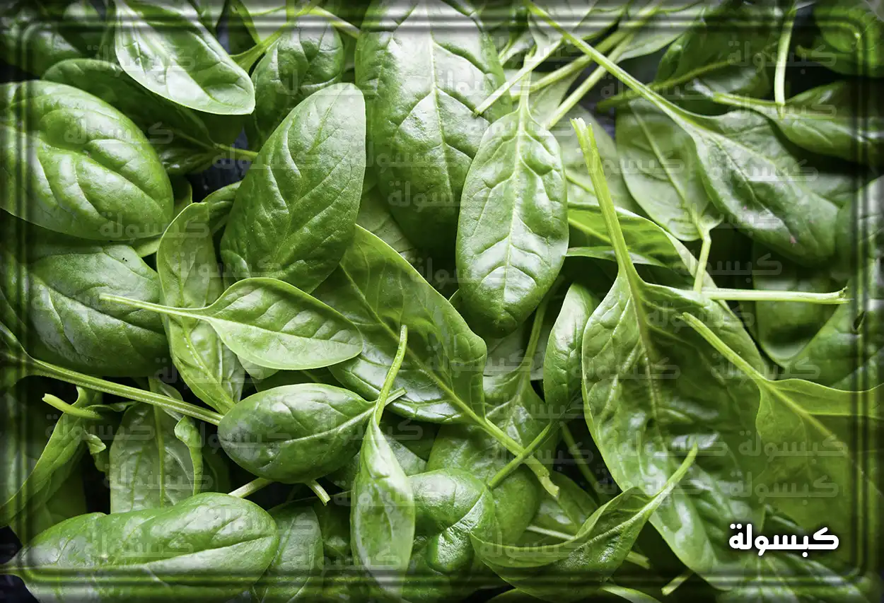 أوراق سبانخ خضراء طازجة ترمز للنمو والازدهار في تفسير الأحلام