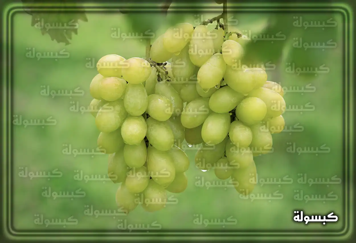 تفسير رؤية حلم العنب في المنام