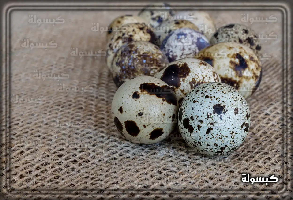 تفسير رؤية بيض الثعبان للمرأة الحامل امرأة حامل تفكر في دلالة حلم بيض الثعابين