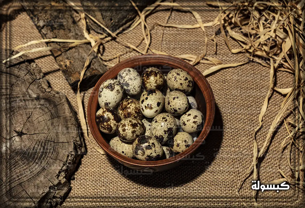 تفسير رؤية بيض الثعبان المكسور في المنام بيض ثعبان مكسور في الحلم كدلالة على التحديات