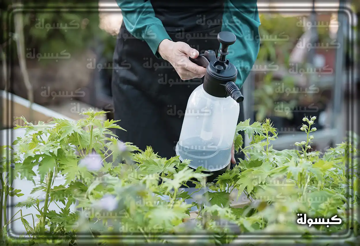 تفسير رؤية حلم رش الزرع في المنام