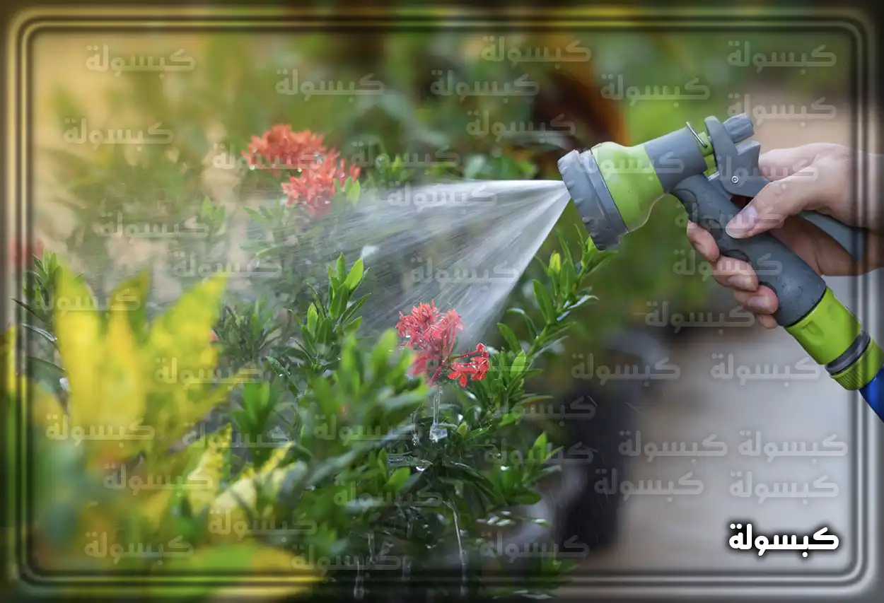 تفسير رؤية حلم رش الزرع في المنام