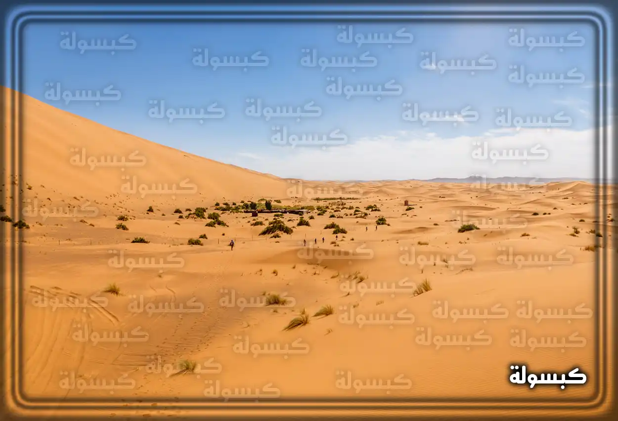 تفسير رؤية حلم المشي في الصحراء في المنام رجل يسير وحيدًا في صحراء شاسعة تحت ضوء الشمس