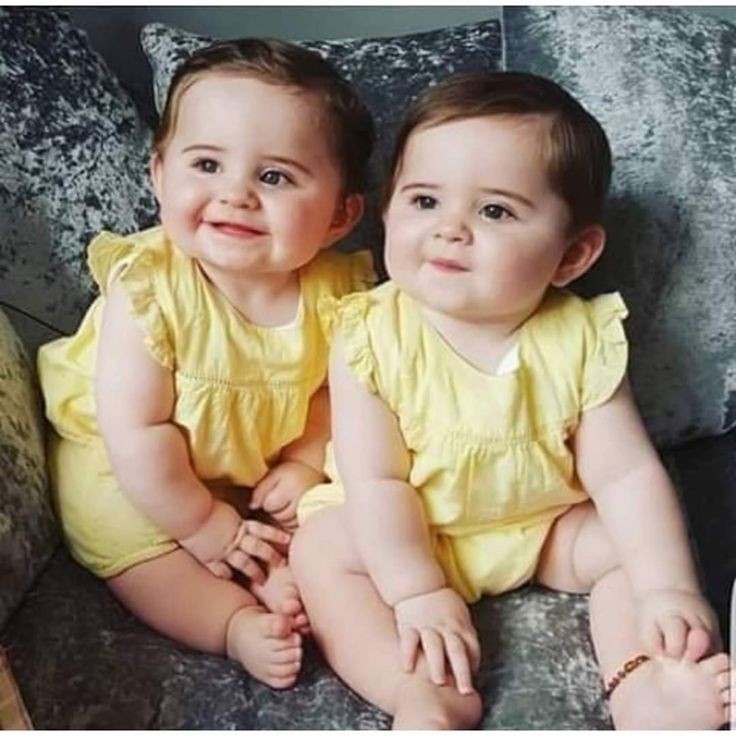 دلالات رؤية الحمل بتوأم في المنام