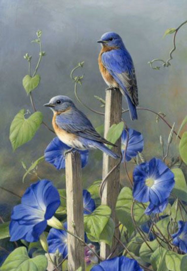 تفسير رؤية العصفور في المنام