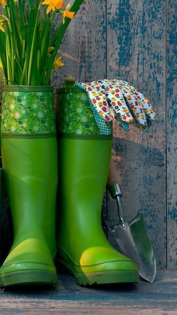 اللون الأخضر في المنام