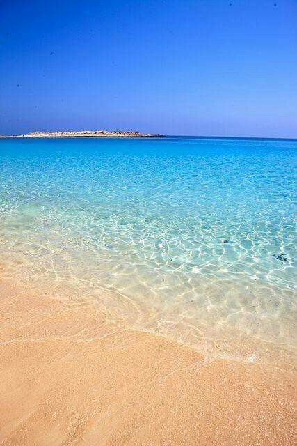 رمزية البحر الهادئ في منام الحامل