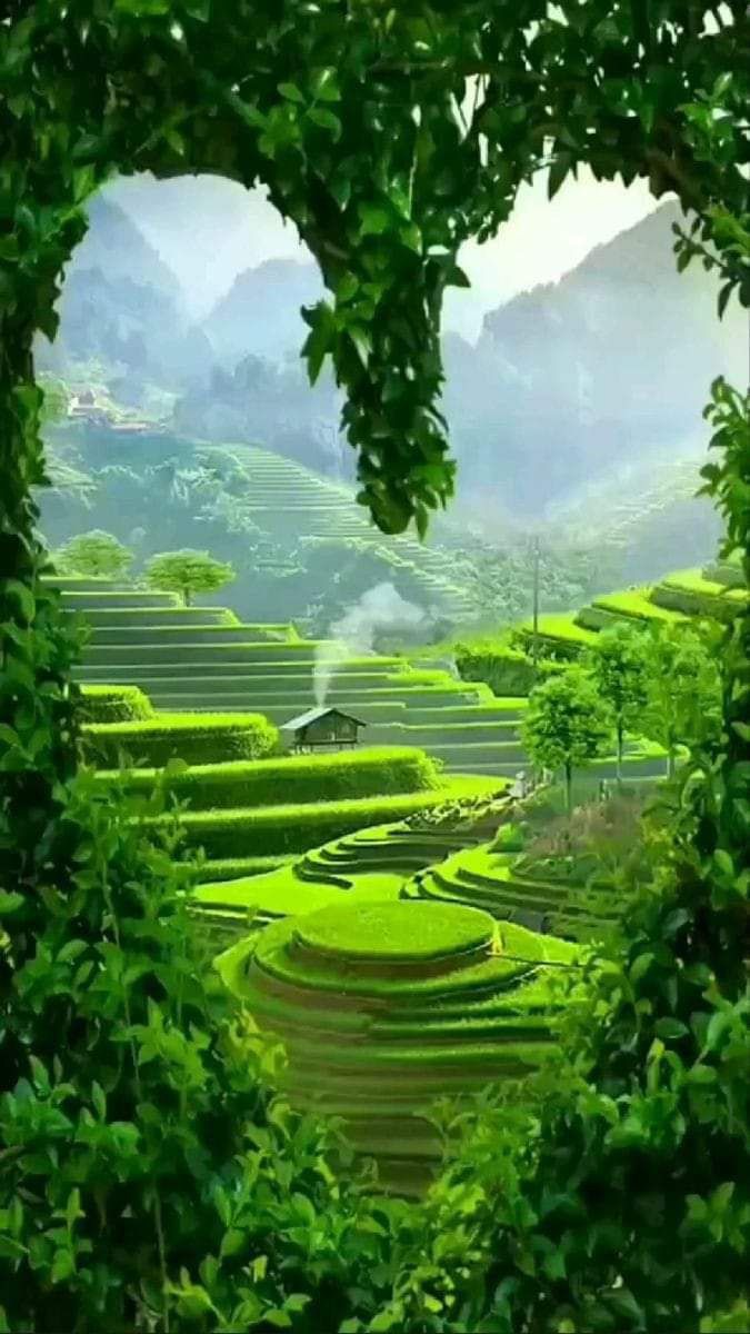 تفسير رؤية الجنة في المنام