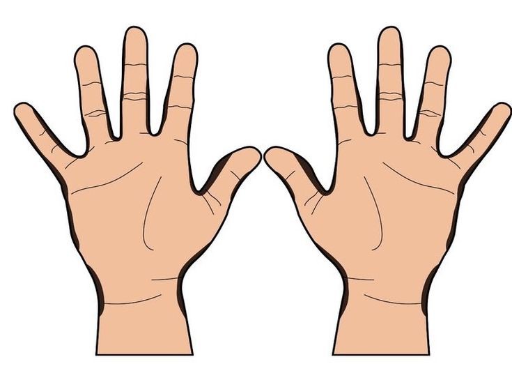 تفسير رؤية اليد في المنام