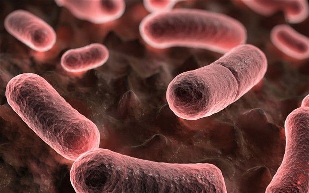 تحليل رمزي لرؤية مرض الطاعون في الحلم