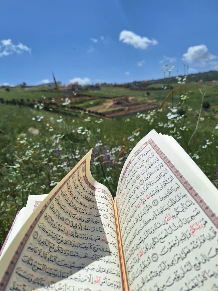 تفسير رؤية المصحف للمرأة المتزوجة والحامل