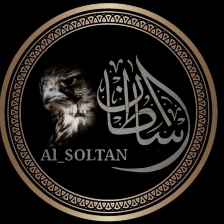 رؤية السلطان في المنام