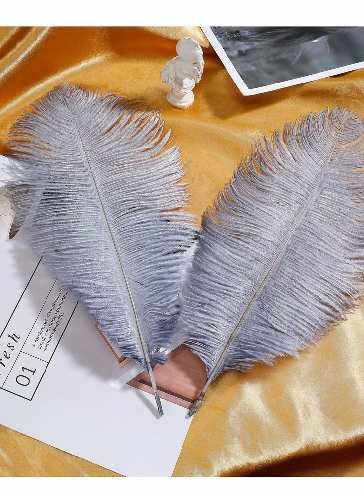 تفسير رؤية الريش في المنام