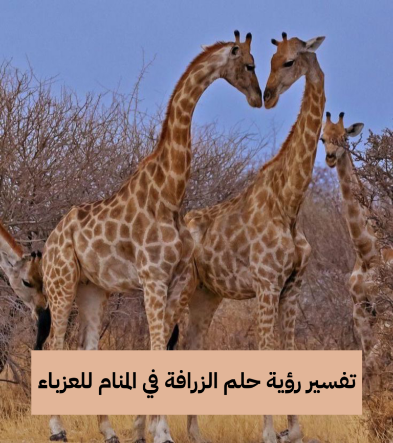 تفسير رؤية حلم الزرافة في المنام للعزباء