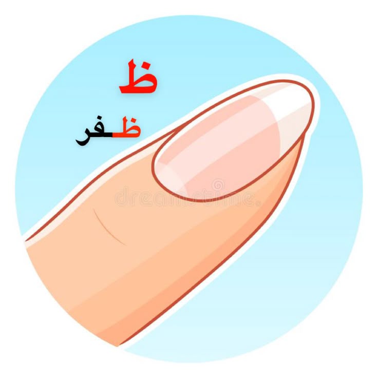 أظافر طويلة في الحلم