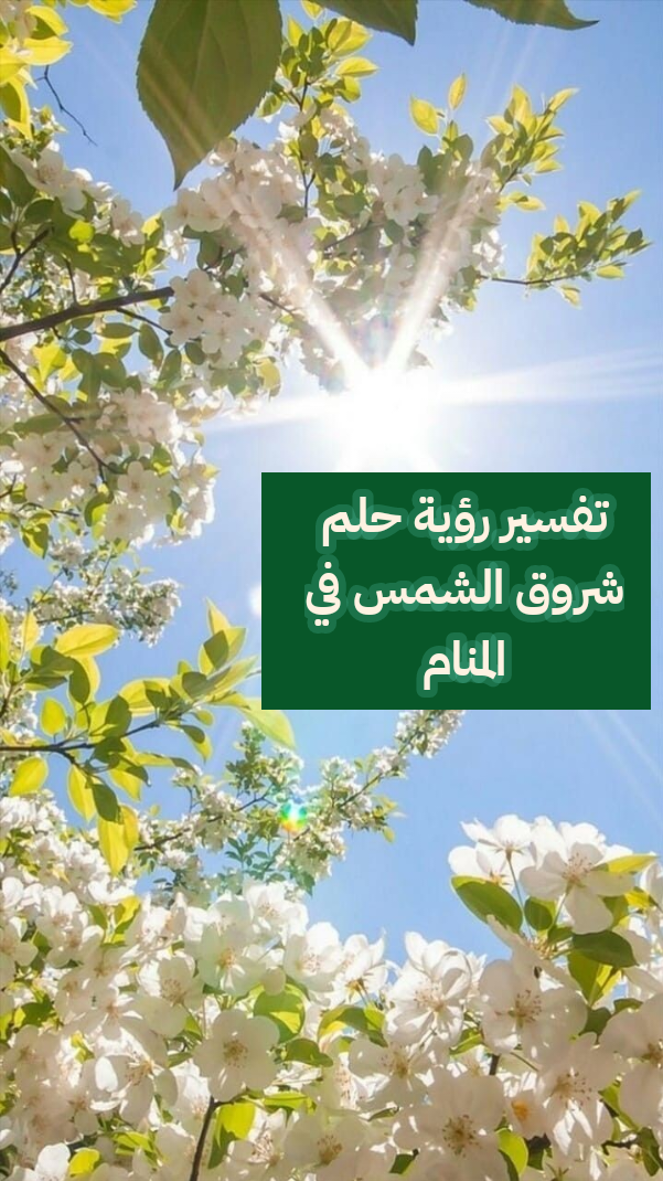 تفسير رؤية حلم شروق الشمس في المنام