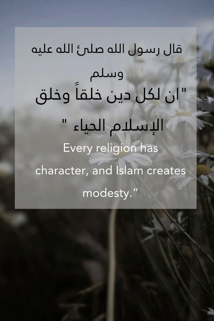 تفسير رؤية الحياء في المنام