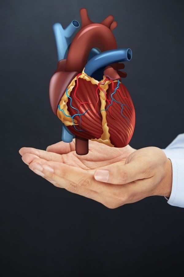 تفسير رمز القلب في الحلم