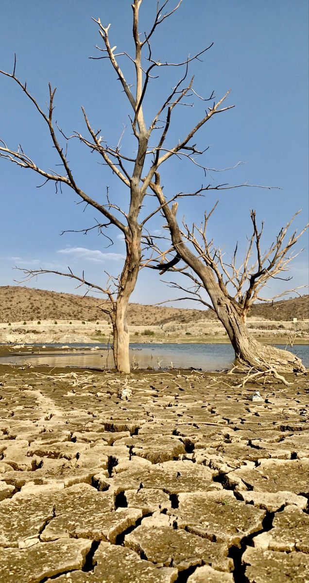 تفسير رؤية الجفاف في المنام