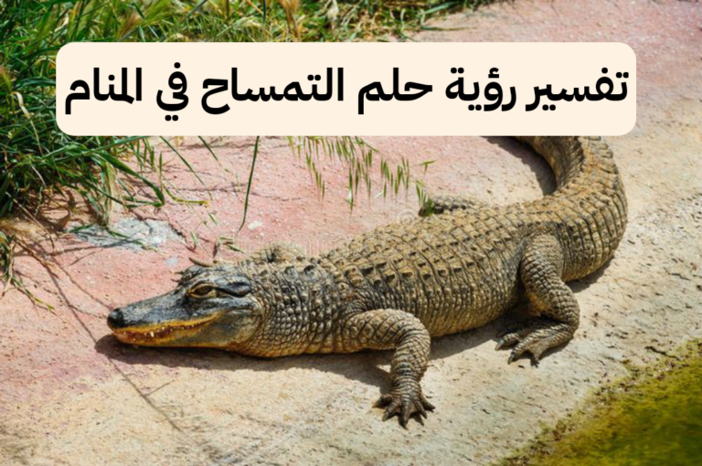 تفسير رؤية حلم التمساح في المنام