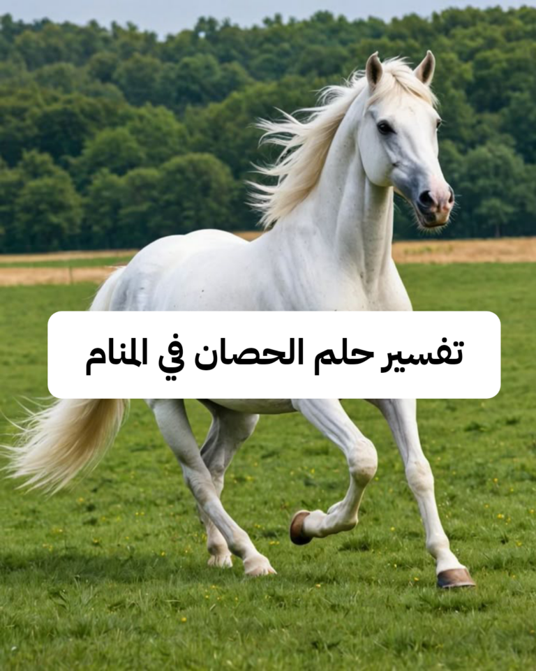 تفسير حلم الحصان في المنام لابن سيرين – رمز رؤية الاحصنة في الحلم