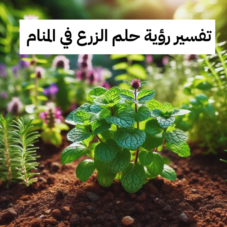 تفسير رؤية حلم الزرع في المنام