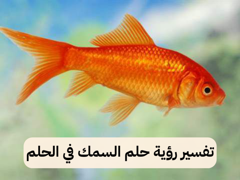 تفسير رؤية حلم السمك في الحلم للنابلسي بالتفصيل