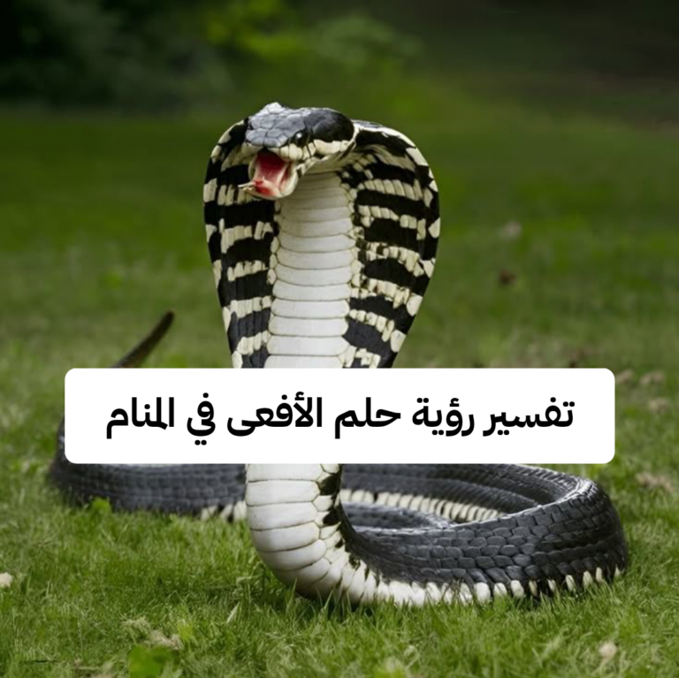 تفسير رؤية حلم الأفعى في المنام لابن سيرين