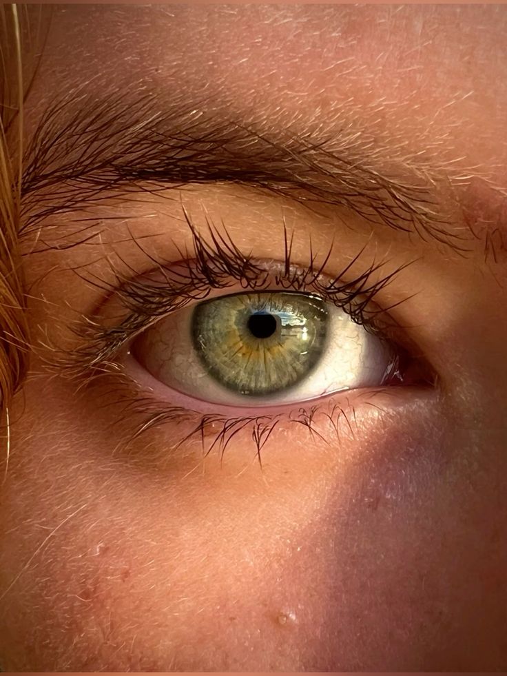 تحليل رمزي لرؤية الحواجب في المنام