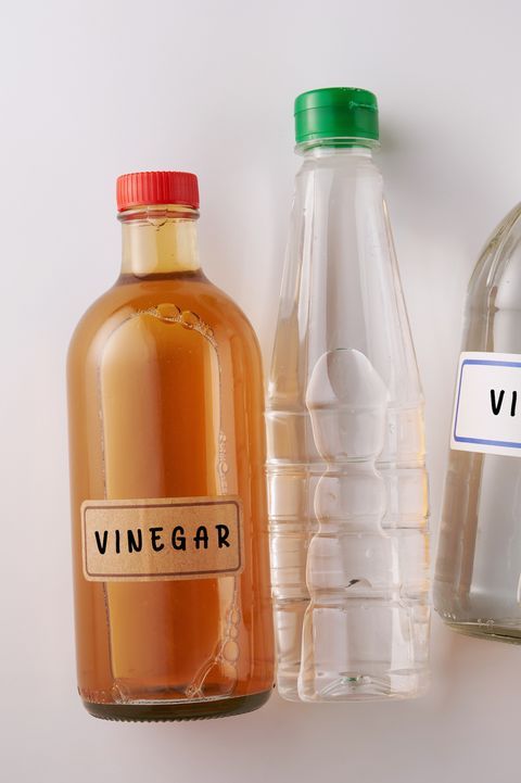 تفسير رؤية الخل في المنام