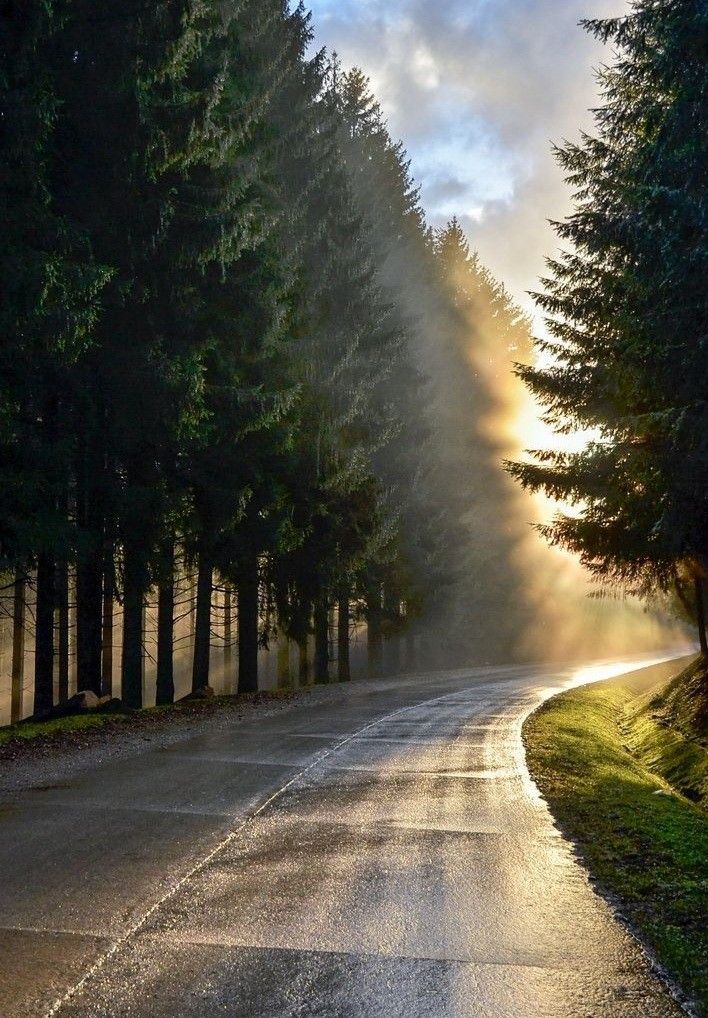 تفسير رؤية الطريق في المنام