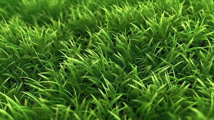 تفسير رؤية العشب الأخضر في المنام