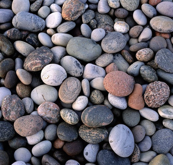 تفسير رؤية الحجارة في المنام