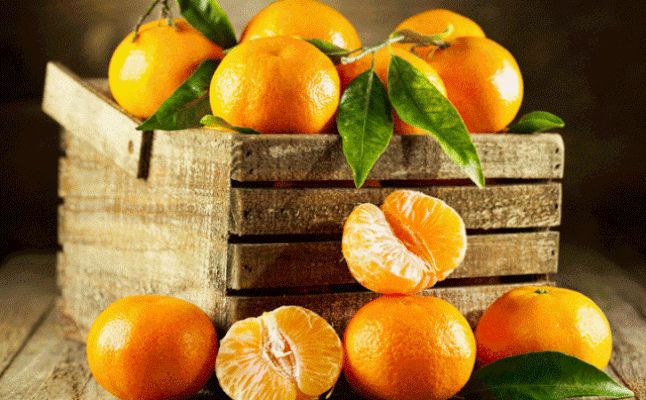 تفسير حلم اليوسفي في المنام