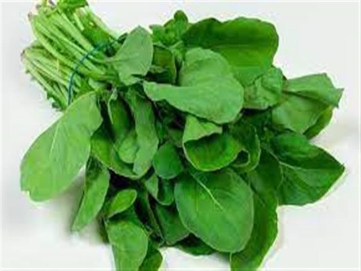 تفسير حلم الجرجير