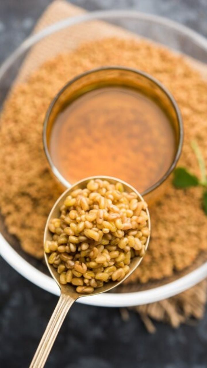 تفسير حلم الحلبة في المنام