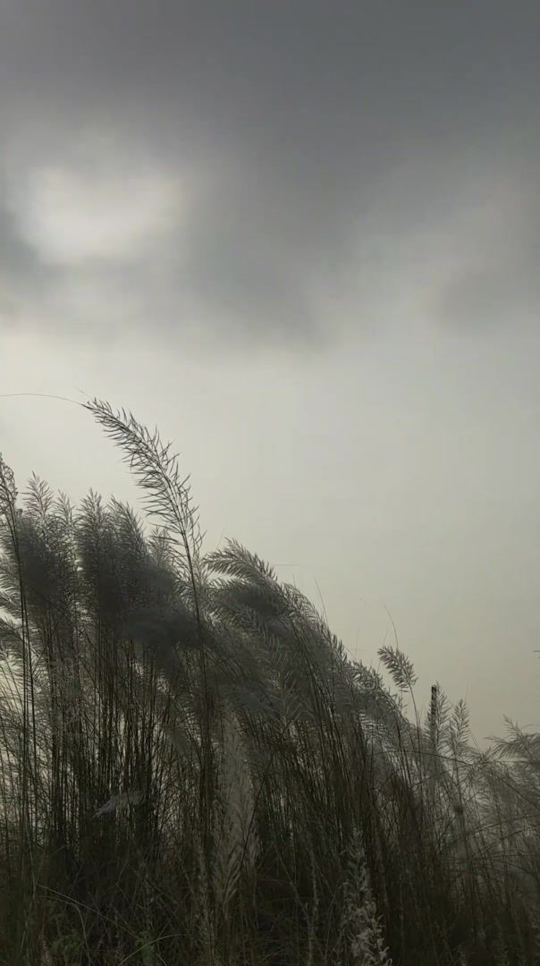 تفسير رؤية الرياح في المنام