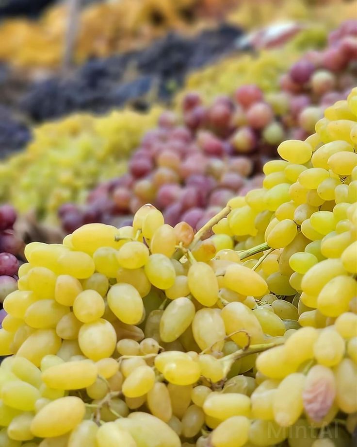 تفسير رؤية العنب في المنام