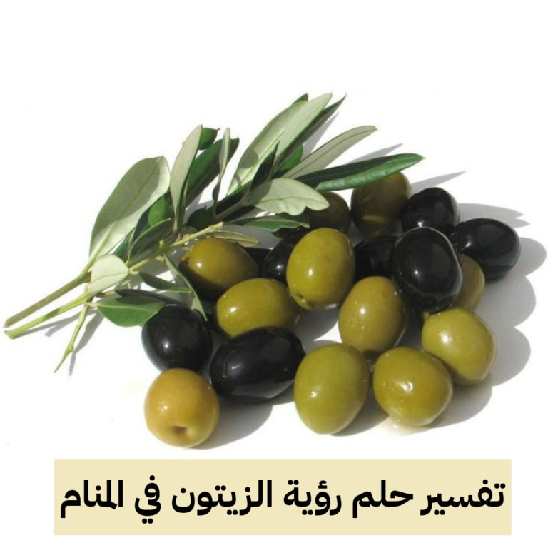 تفسير حلم رؤية الزيتون في المنام لابن سيرين .. أزمات مالية وإرتكاب معاصي