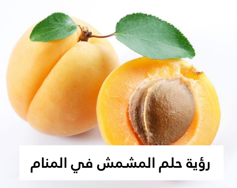 تفسير رؤية حلم المشمش في المنام .. 7 تفاسير لابن سيرين مختلفة